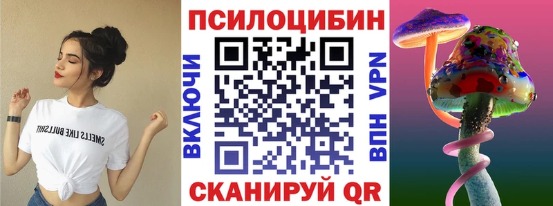 Псилоцибиновые грибы Psilocybe  Нюрба 